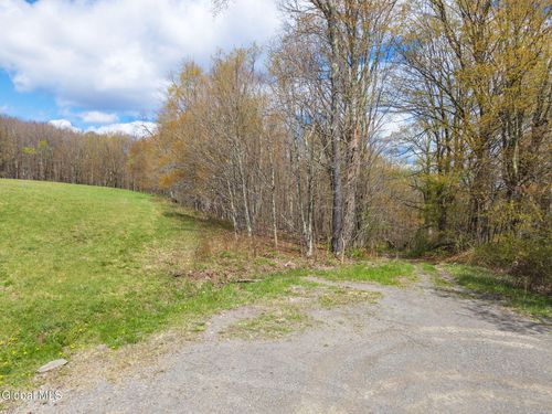 L25 Fuller District Rd, Jefferson, NY, 12093 | Card Image