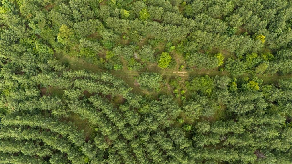 Land in Broken Bow 4
