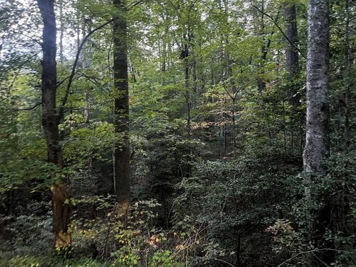 TBD Candy Mountain Rd, Murphy, NC, 28906 | Card Image