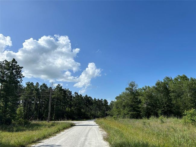 35 Sw Commerce St, Home with 0 bedrooms, 0 bathrooms and null parking in Lovelady TX | Image 7