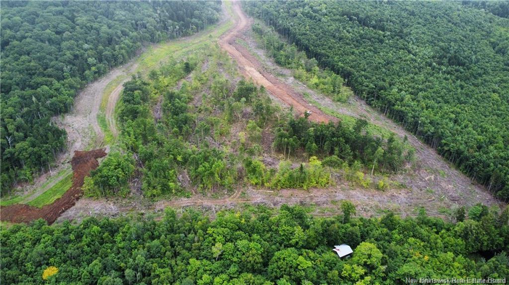 Land in Central Hainesville 5