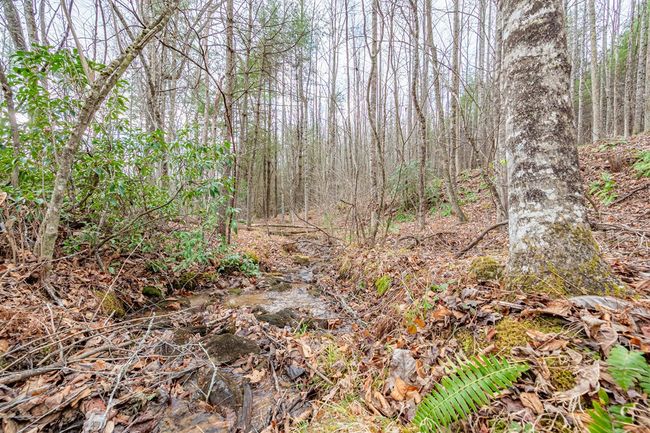 000 Miriam Road, Home with 0 bedrooms, 0 bathrooms and null parking in Dugspur VA | Image 11