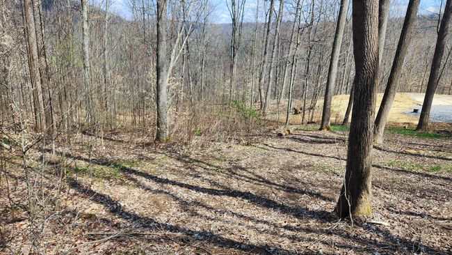TRACT-2-PIKE-LAKE-GETAWA - 0 Pike Lake Rd, Home with 0 bedrooms, 0 bathrooms and null parking in Bainbridge OH | Image 16