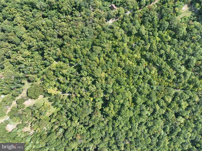 Lot 1 Price Ridge Rd, Home with 0 bedrooms, 0 bathrooms and null parking in STANLEY VA | Image 14