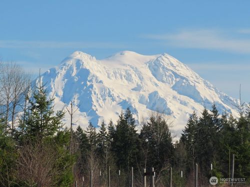 2906 357th St E, Eatonville, WA, 98328 | Card Image