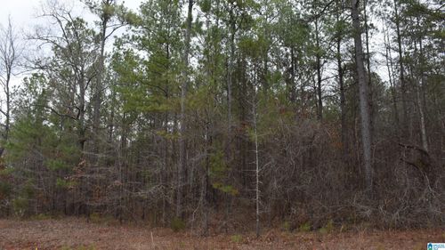 6-596 Wisteria Ln, Sylacauga, AL, 35151-5956 | Card Image