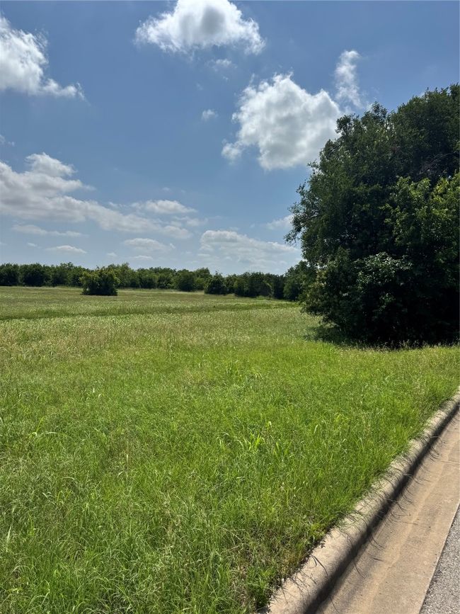 View of yard with a view of rural / pastoral area | Image 8