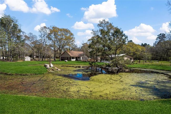 Pond "also known as" Pine Tree Pond | Image 41