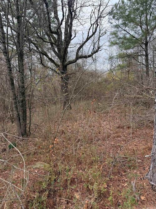 1673 Highway 167 N, Bradford, AR, 72020-9231 | Card Image