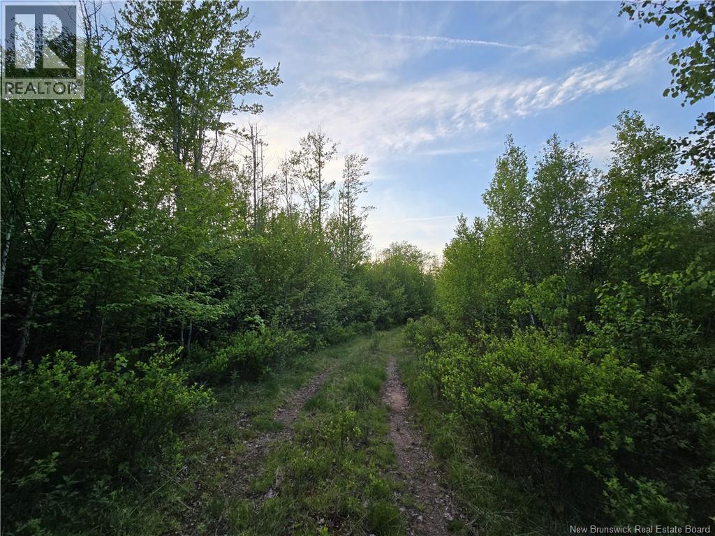 Land in Head Of Millstream 3