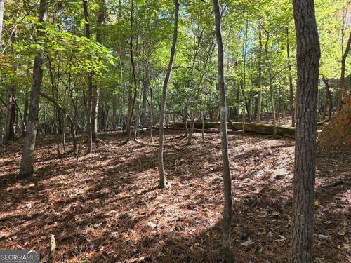 385-LOT #385 Zenith Trail, Ellijay, GA, 30540 | Card Image