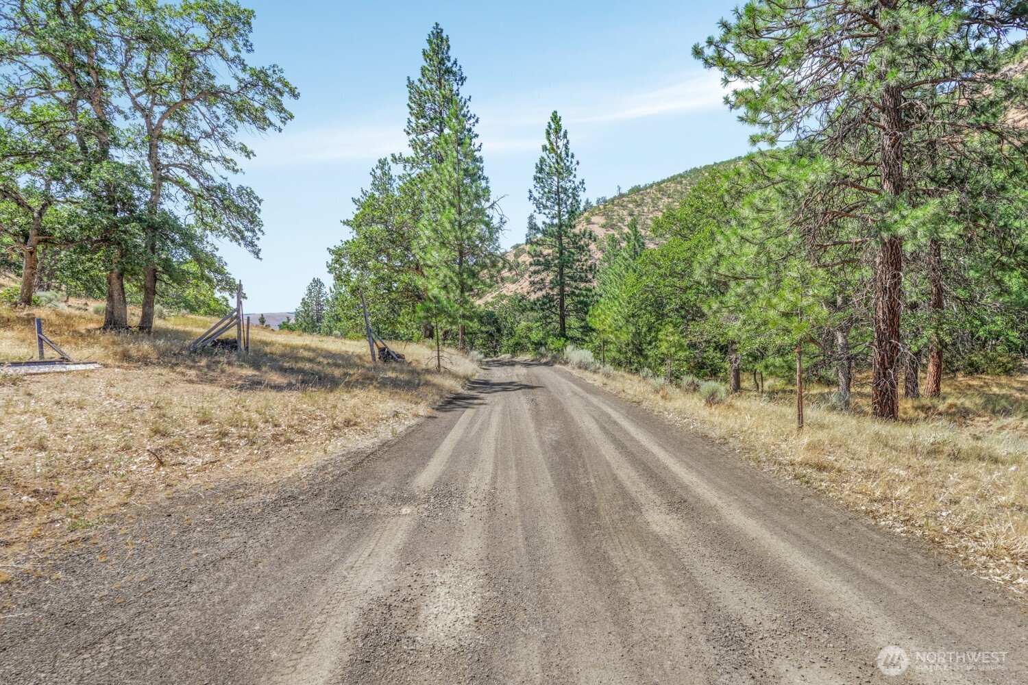 Land in Goldendale 2