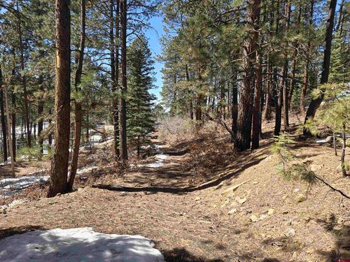 Lot 9 Groves Drive, Durango, CO, 81301 | Card Image
