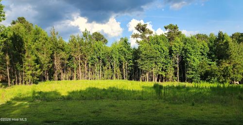 Lot 1 Tracy Dr, Burgaw, NC, 28425-6702 | Card Image