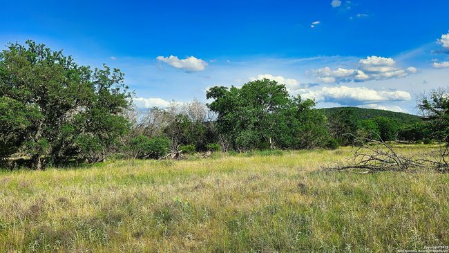 1205 Elm Creek Rd, Home with 0 bedrooms, 0 bathrooms and null parking in Medina TX | Image 9