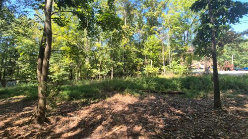 0 Spring St, Monteagle, TN, 37356 | Card Image