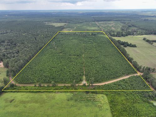 0 Warren Church Rd, Florien, LA, 71429 | Card Image
