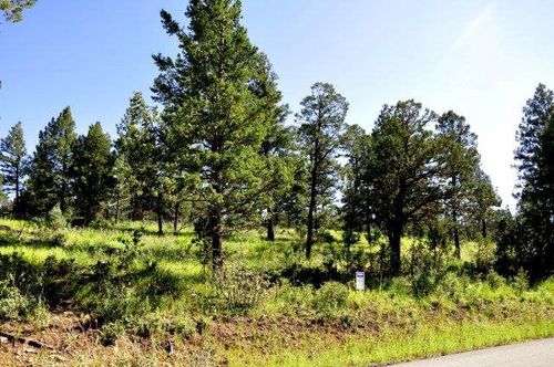 237 Cummings Dr, Ruidoso, NM, 88345 | Card Image
