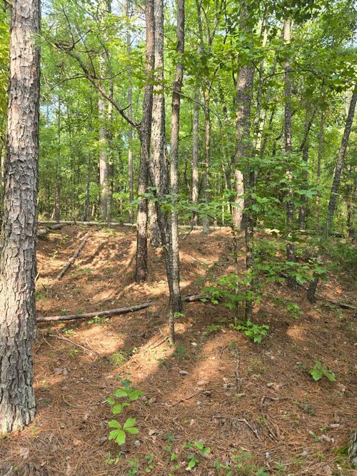 0 Lbk Rd, Tignall, GA, 30668 | Card Image