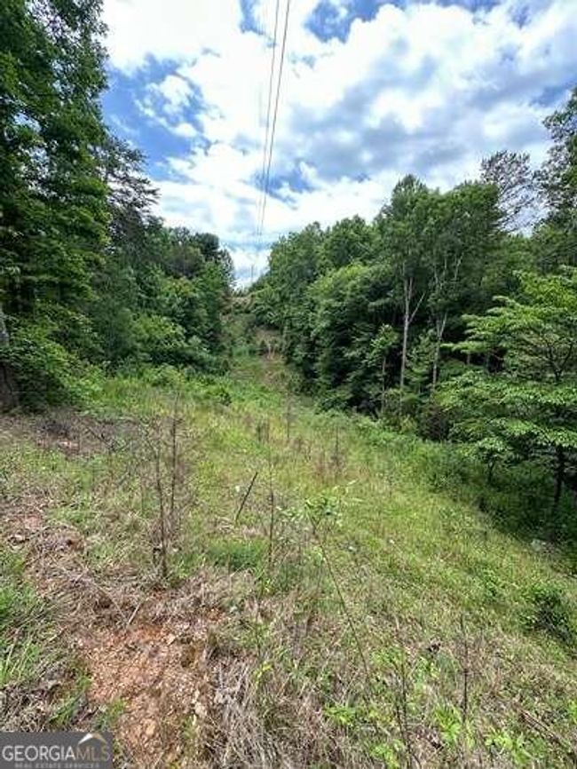 667 Long Branch Rd, Home with 0 bedrooms, 0 bathrooms and null parking in Marble NC | Image 33
