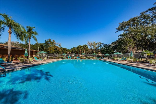 Community Pool | Image 42