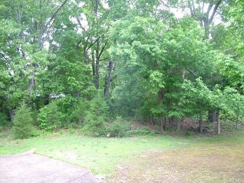 Lot 8 Franklin Ave, Mountain Home, AR, 72653 | Card Image