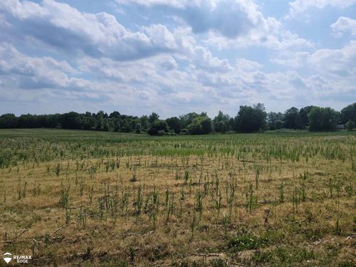 0 Olds Rd, Otisville, MI, 48463 | Card Image