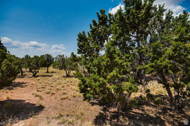 View of nature featuring rural landscape | Image 4