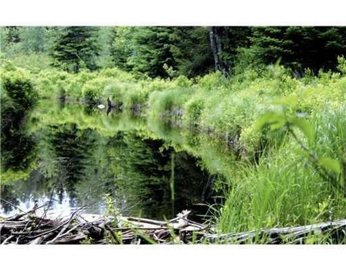 330 Marshfield Flats Road, Marshfield, ME, 04654 | Card Image