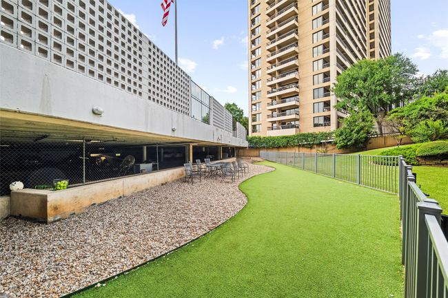 Dog Park | Image 25