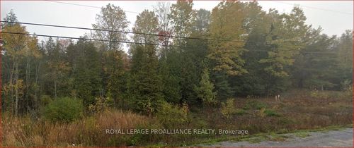 18362 Highway 62, Eldorado, ON, K0K1Y0 | Card Image