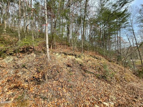 37 Sugar Mountain Way, Pigeon Forge, TN, 37863-4735 | Card Image