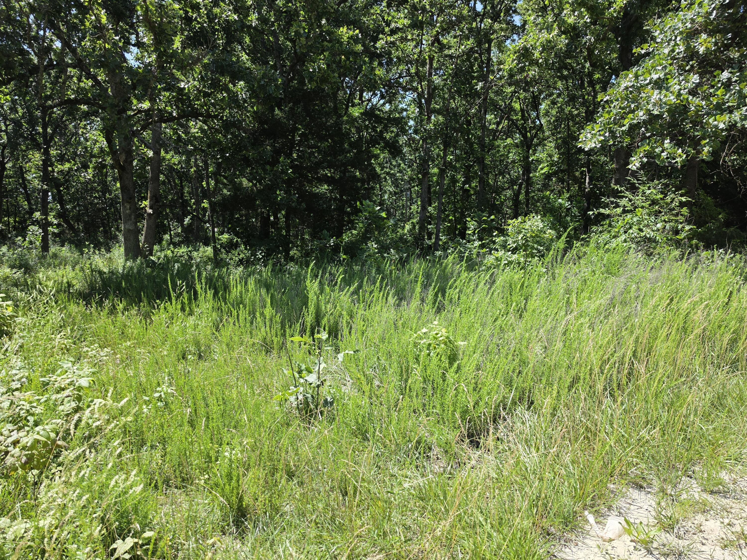 Land in Fordland 3