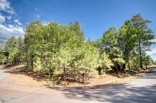 6281 Bent Oak Dr, Pinetop, AZ, 85935 | Card Image