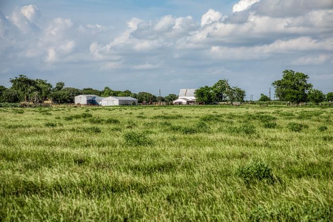 1923 Beasley West End Rd, Home with 0 bedrooms, 0 bathrooms and null parking in Beasley TX | Image 10