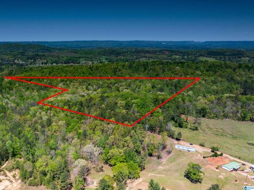 0-0 Pike Hill Road, Ashville, AL, 35953 | Card Image
