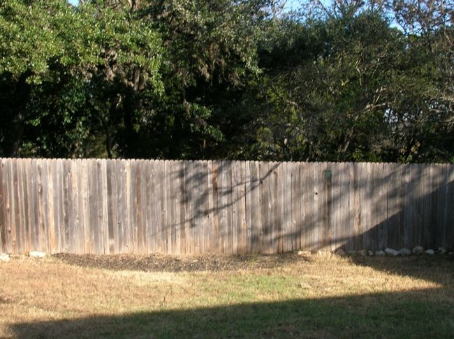 Backyard to greenbelt | Image 12