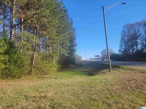 parcel-2-3.02 +/- Acres Highway 431, Roanoke, AL, 36274 | Card Image