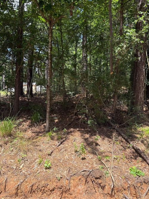 0 Non Such Rd, Livingston, TX, 77351 | Card Image