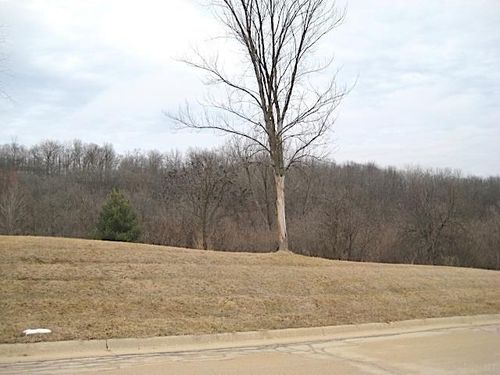 Lot 16 Ohmer Ln, Mc Gregor, IA, 52157 | Card Image