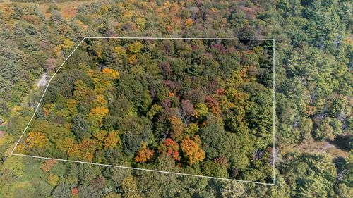 72 Mccauley Rd, Rosseau, ON, P0C1J0 | Card Image