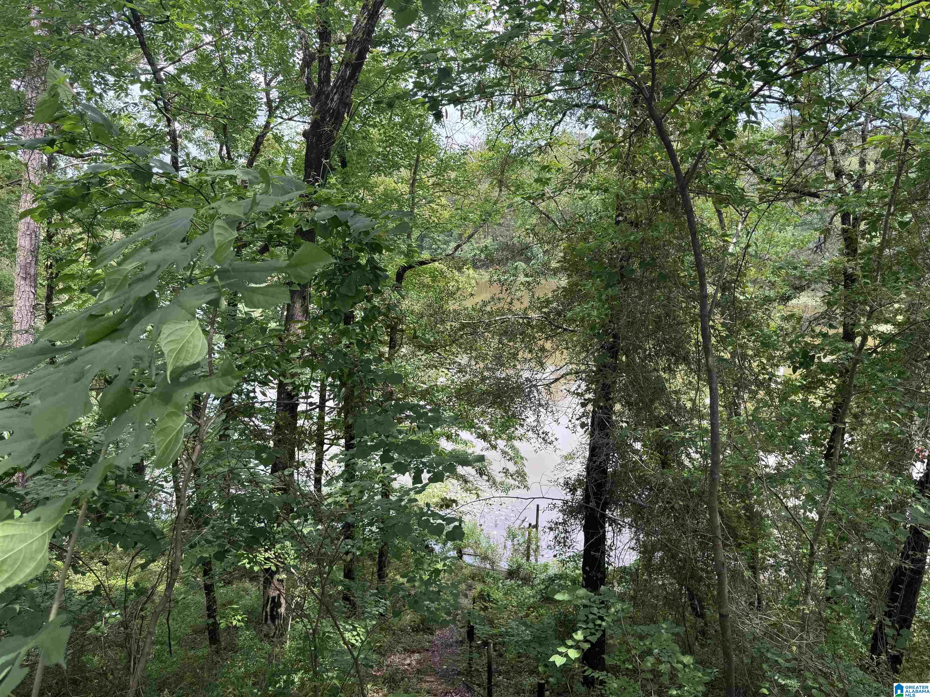 Residential in NORTHPORT 5