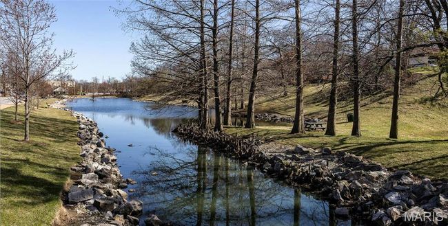 Green spaces for walking in nature~ | Image 28