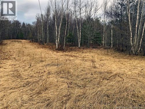 320 Pleasant Dr, Minto, NB, E4B3V8 | Card Image