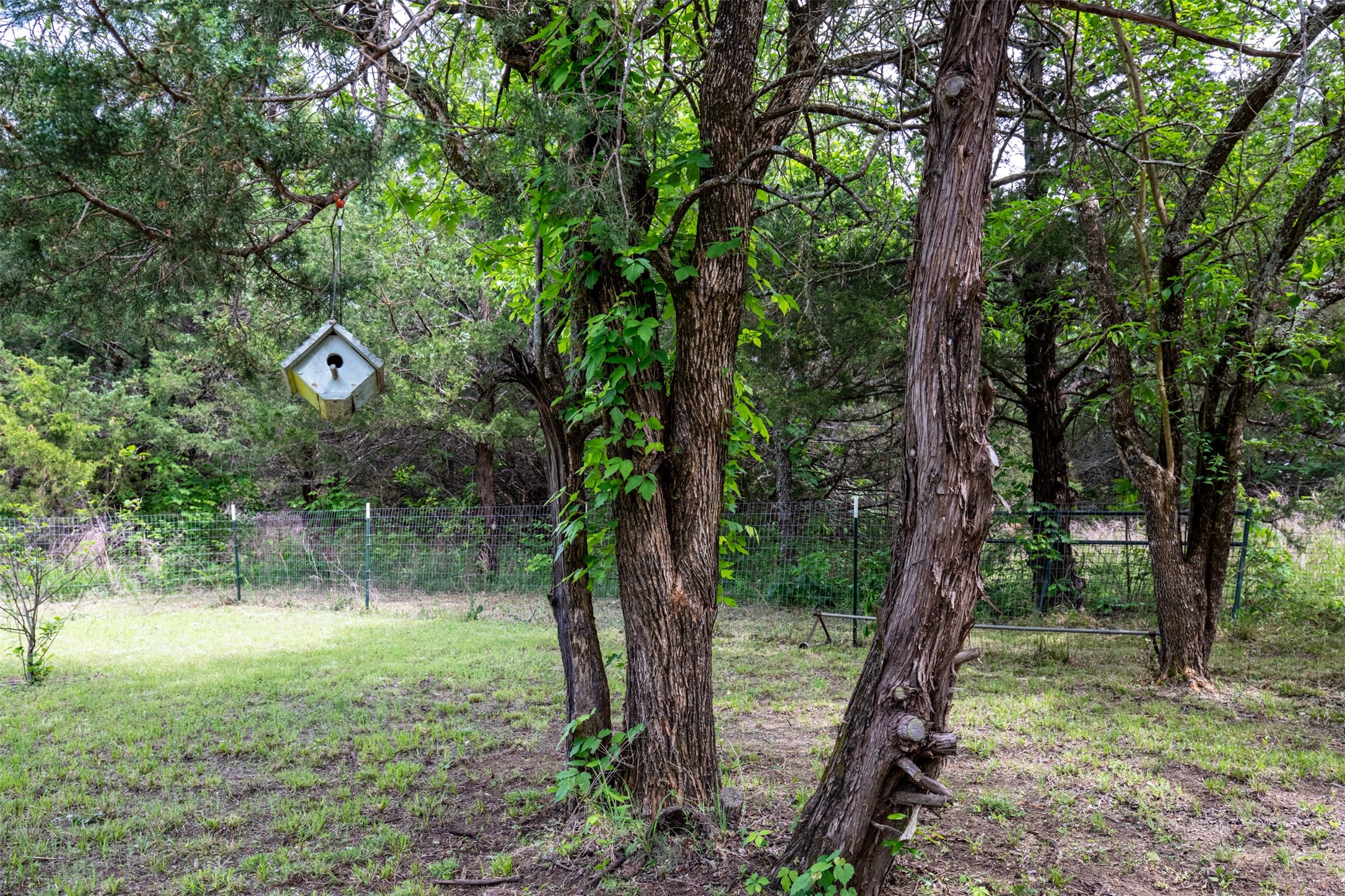 Land in Farmersville 5