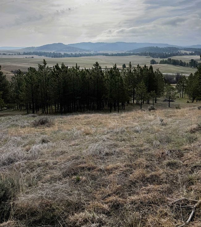 11 Tower Ridge Dr, House other with 1 bedrooms, 0 bathrooms and null parking in Devils Tower WY | Image 6