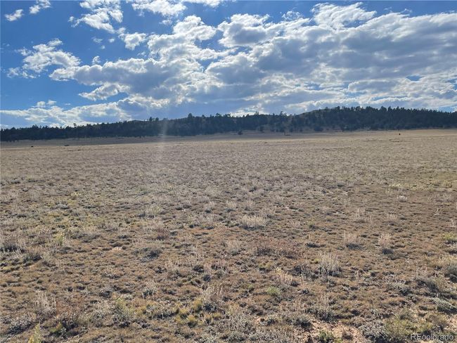 2552 Mesa Rd, Home with 0 bedrooms, 0 bathrooms and null parking in HARTSEL CO | Image 9