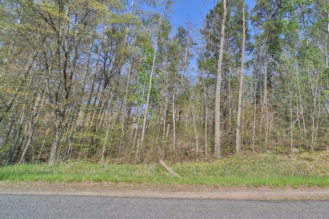 5 Terminal Road, Home with 0 bedrooms, 0 bathrooms and null parking in Breezy Point MN | Image 4