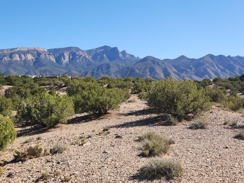 11 Calle De Maya, Placitas, NM, 87043 | Card Image