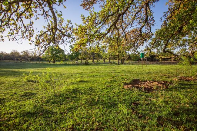 View of green lawn | Image 15
